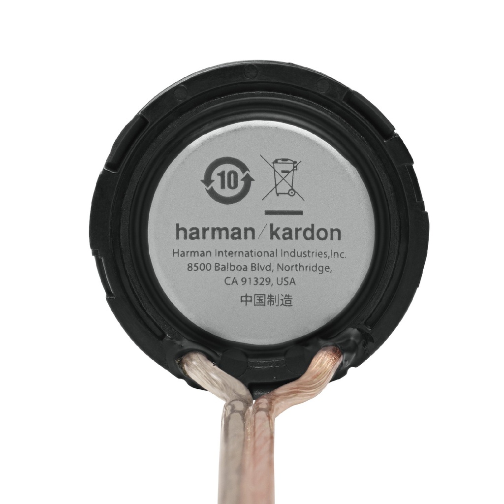 Harman Kardon FLOW601CFS