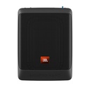 JBL BassPro Nano