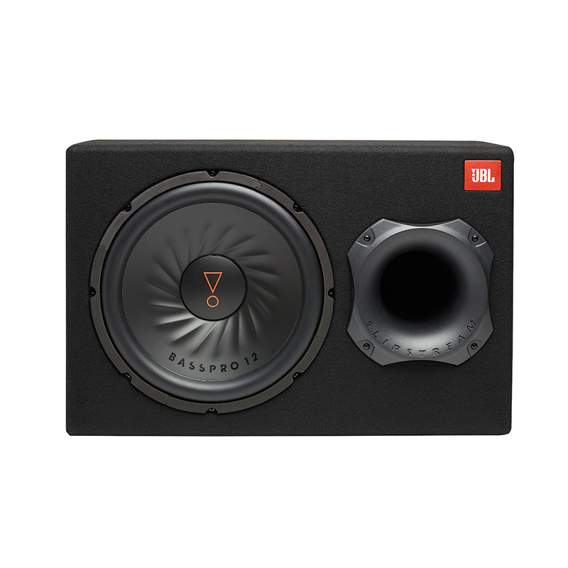 JBL BassPro 12